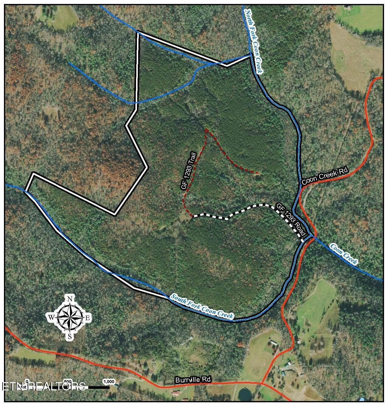 154 Coon Creek Rd Rd, Sunbright, TN 37872