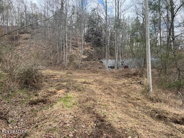 IMG_2913 - 3071 Mica Way, Cosby, TN 37722, Cosby