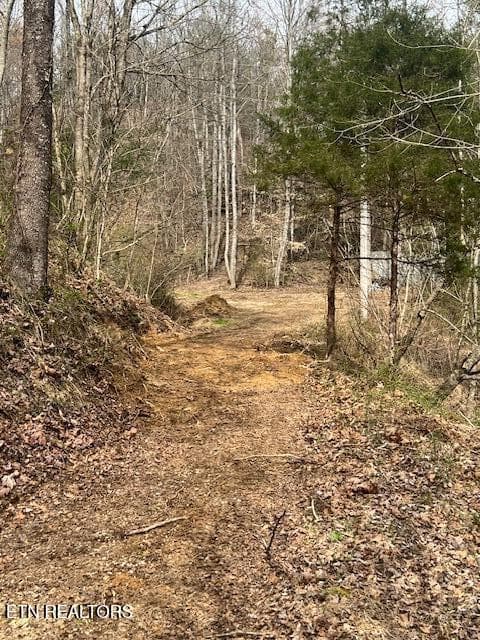 IMG_2956 - 3071 Mica Way, Cosby, TN 37722, Cosby