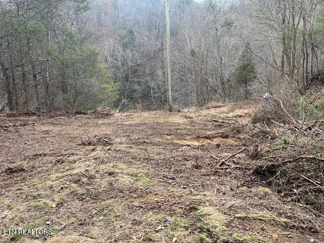 IMG_2909 - 3071 Mica Way, Cosby, TN 37722, Cosby