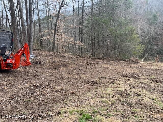IMG_2910 - 3071 Mica Way, Cosby, TN 37722, Cosby