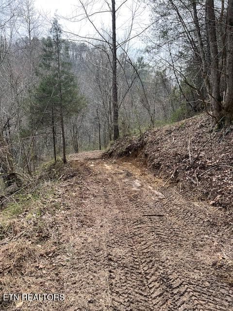 IMG_2954 - 3071 Mica Way, Cosby, TN 37722, Cosby