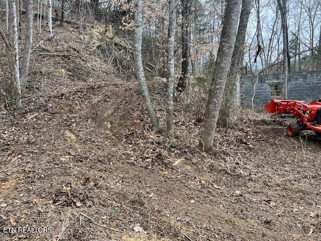 IMG_2907 - 3071 Mica Way, Cosby, TN 37722, Cosby