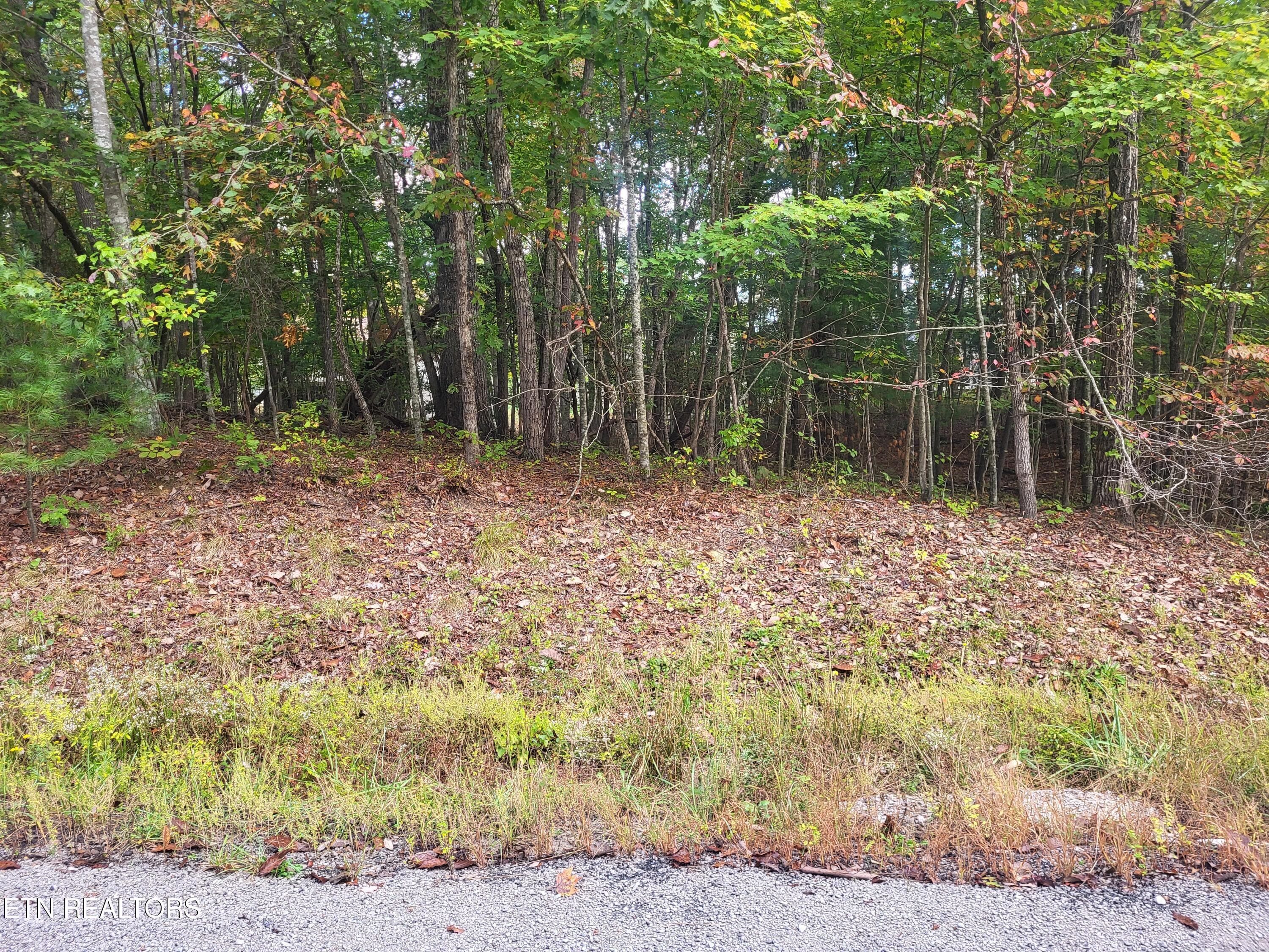 17 Appleby Court, Crossville, TN 38558