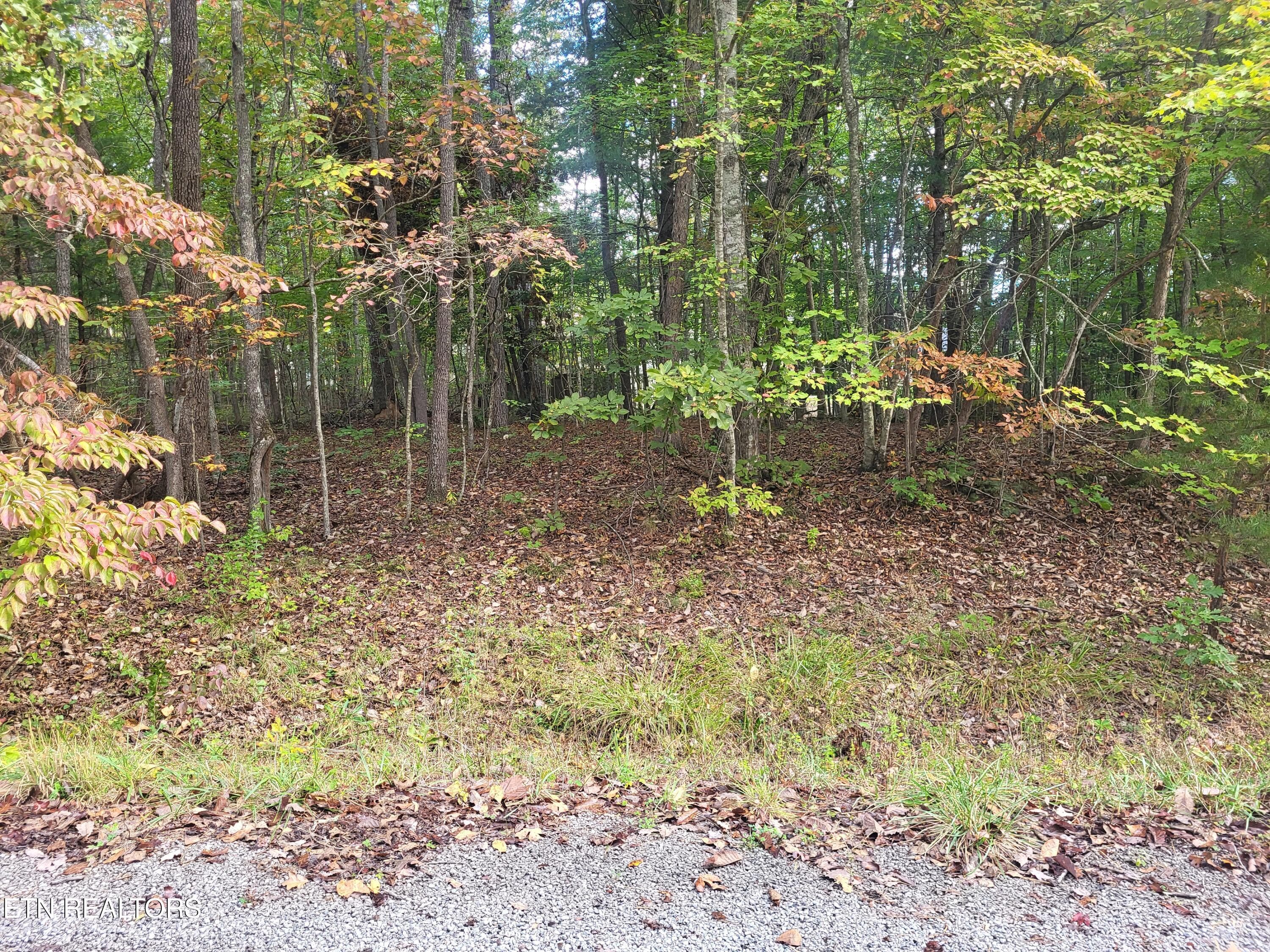 15 Appleby Court, Crossville, TN 38558