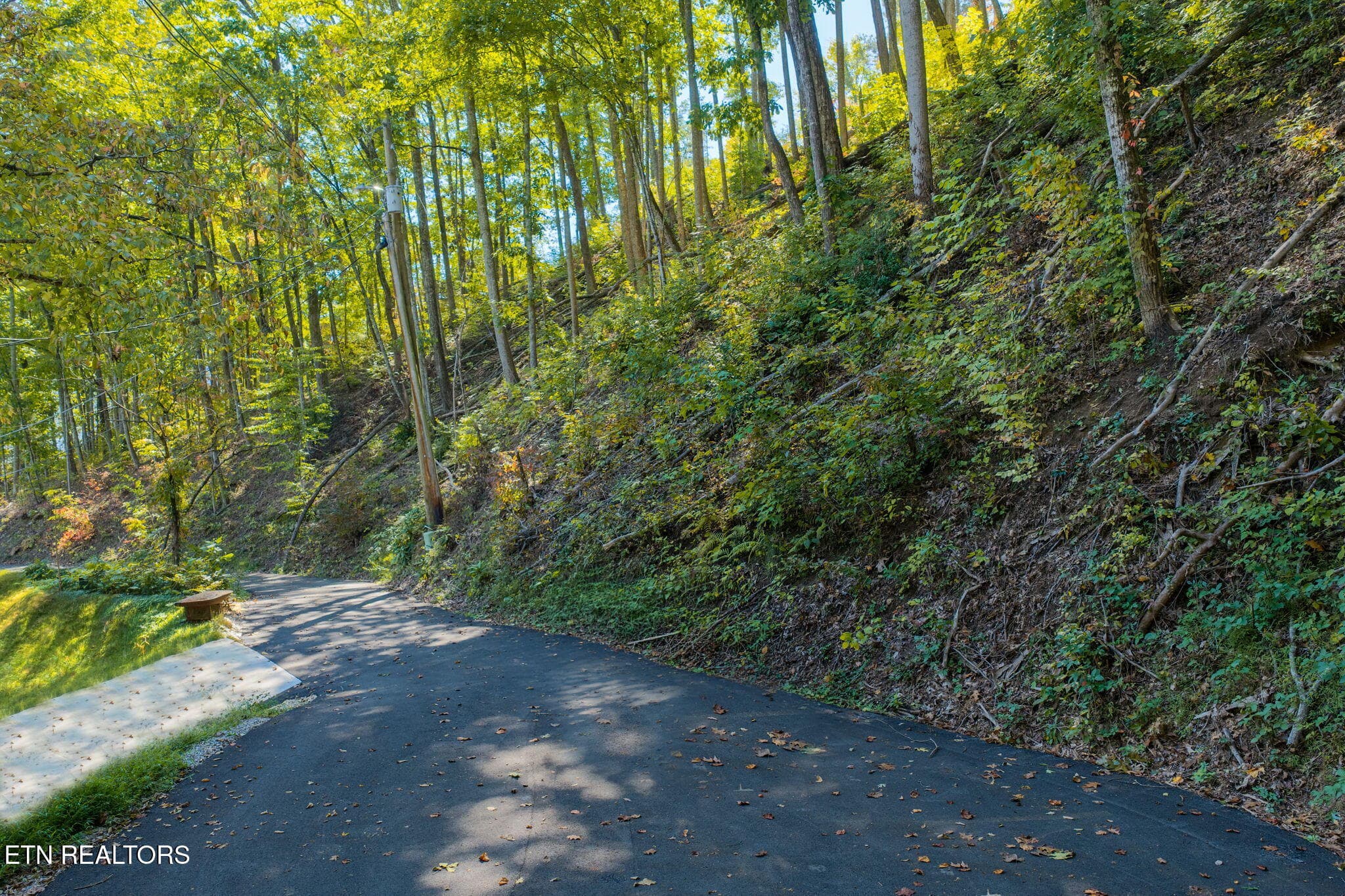 homesandvideos 826-1011 - Whipoorwill Hill Way 28, Sevierville, TN 37862