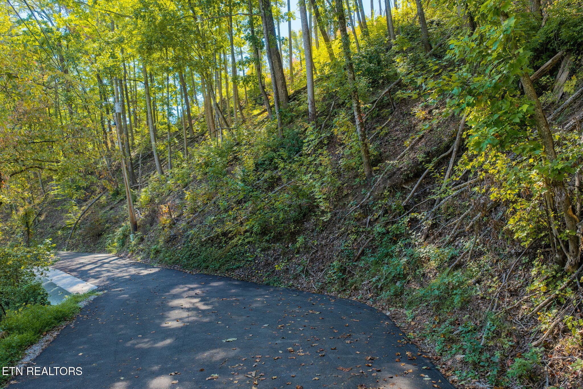 homesandvideos 826-1012 - Whipoorwill Hill Way 28, Sevierville, TN 37862