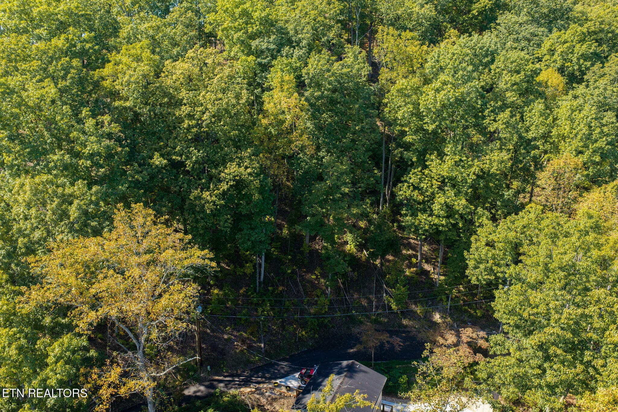 homesandvideos 826-1015 - Whipoorwill Hill Way 28, Sevierville, TN 37862