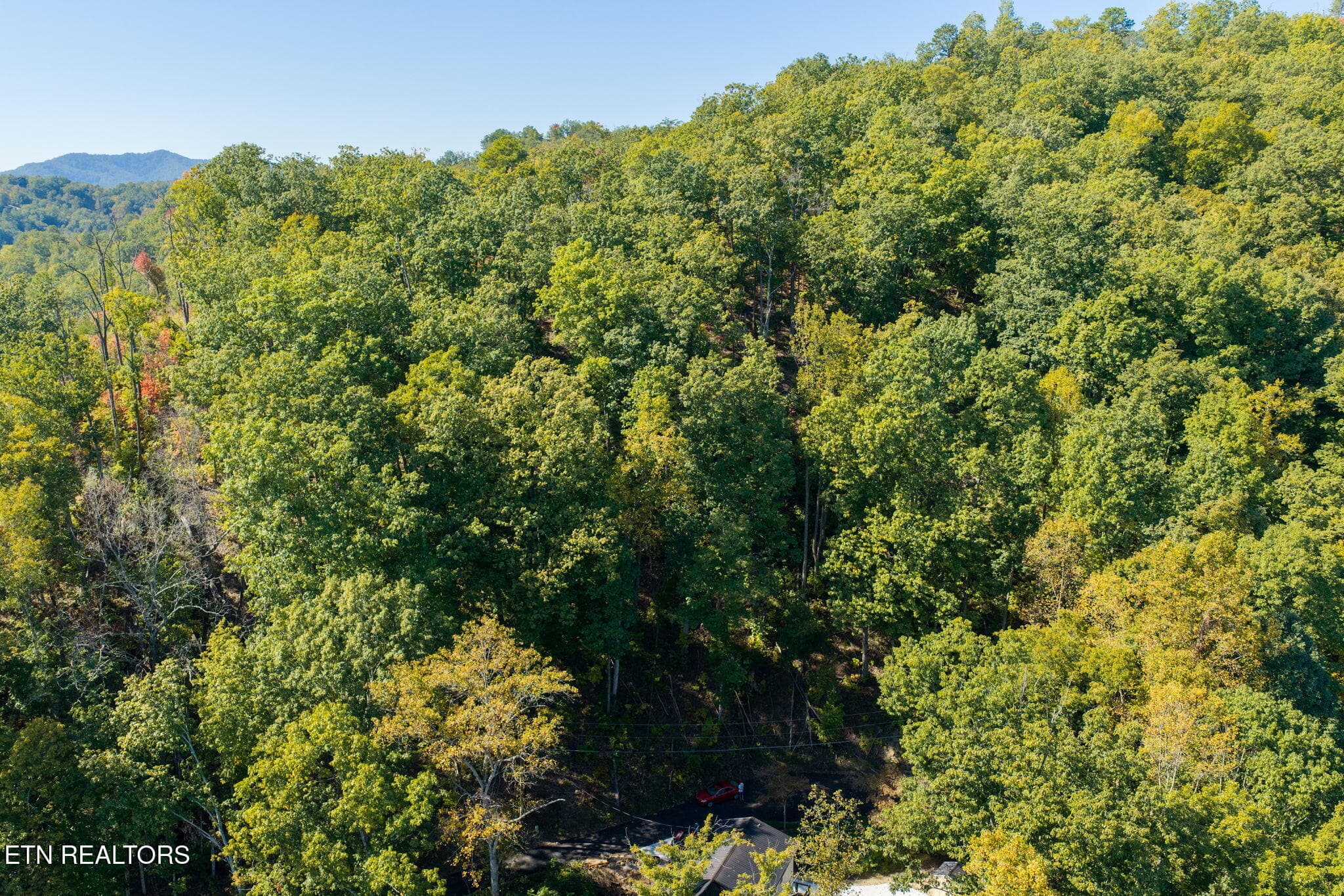 homesandvideos 826-1016 - Whipoorwill Hill Way 28, Sevierville, TN 37862