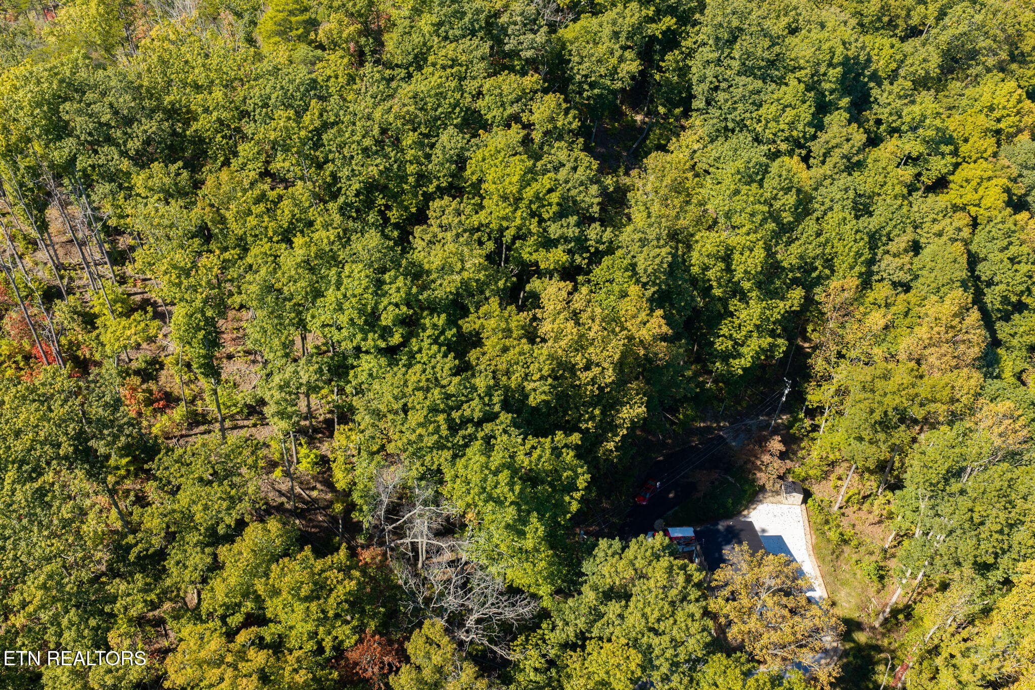 homesandvideos 826-1031 - Whipoorwill Hill Way 28, Sevierville, TN 37862