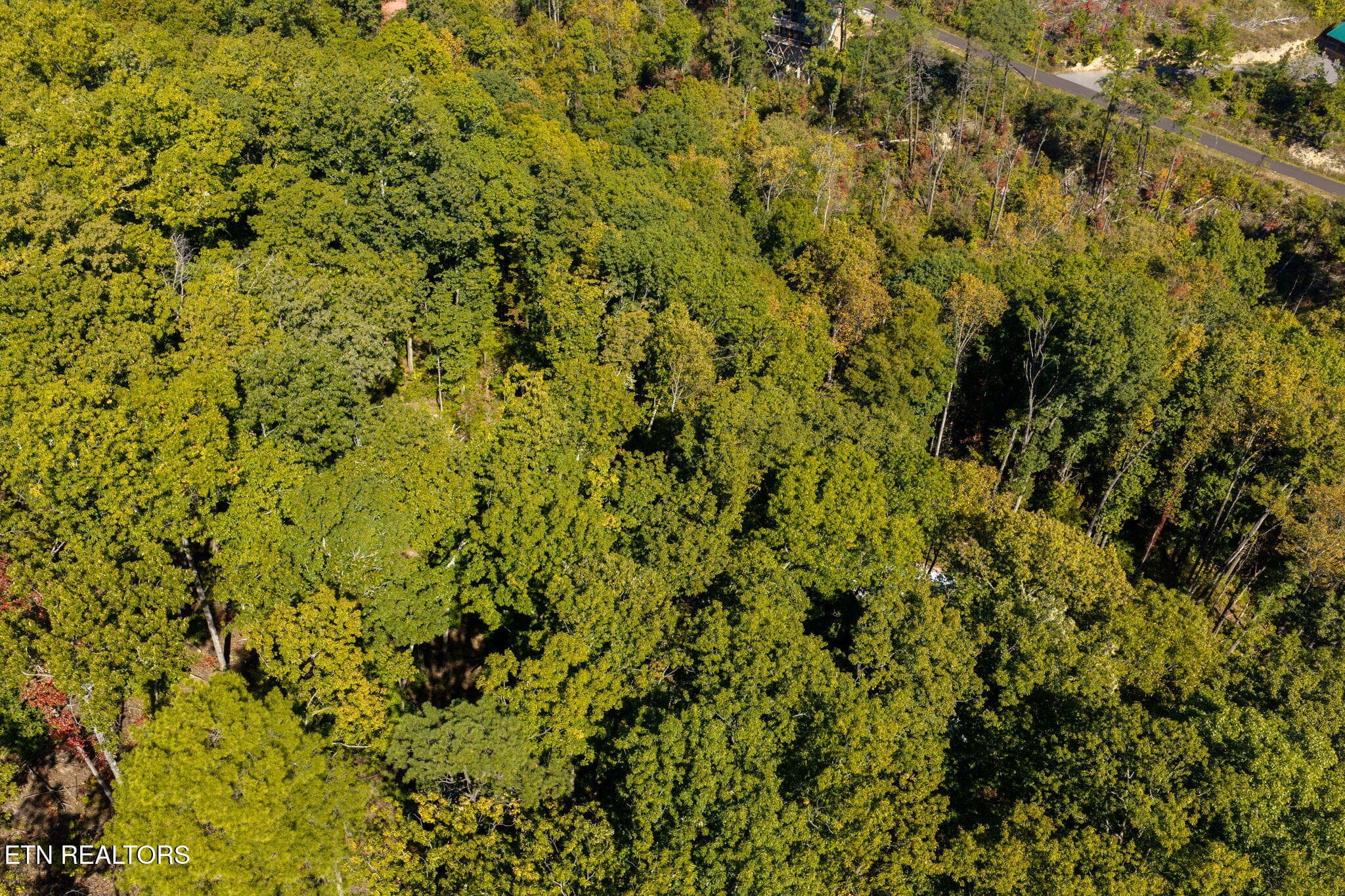 homesandvideos 826-1030 - Whipoorwill Hill Way 28, Sevierville, TN 37862