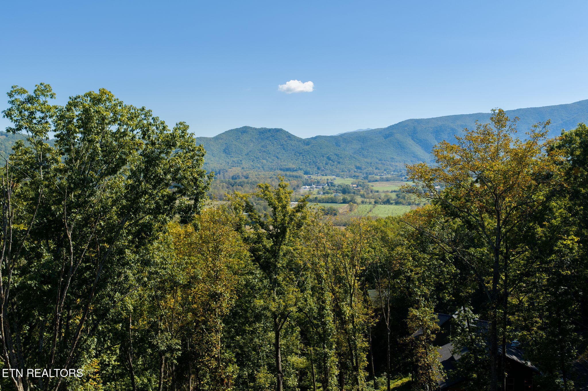 homesandvideos 826-1037 - Whipoorwill Hill Way 28, Sevierville, TN 37862