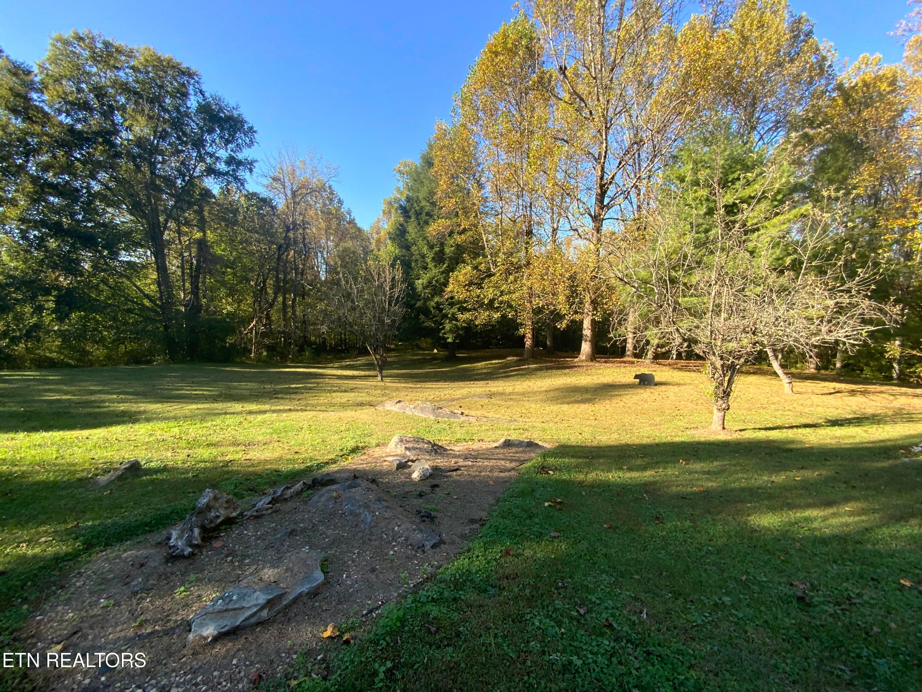 IMG_3610 - 4455 Trail Hollow Rd, Cosby, TN 37722