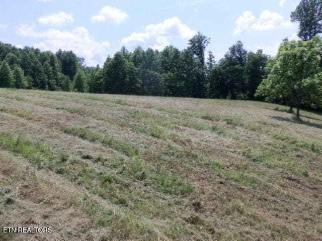 04 - 5.73ac Mate Allen Rd, Gainesboro, TN 38562, Gainesboro