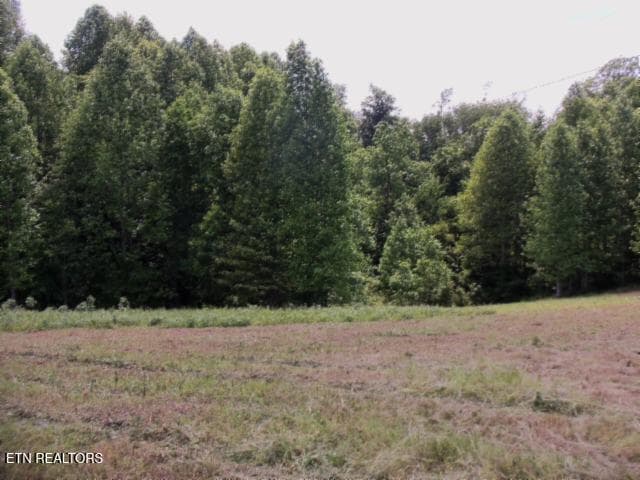 05 - 5.73ac Mate Allen Rd, Gainesboro, TN 38562, Gainesboro