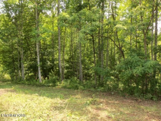 07 - 5.73ac Mate Allen Rd, Gainesboro, TN 38562, Gainesboro