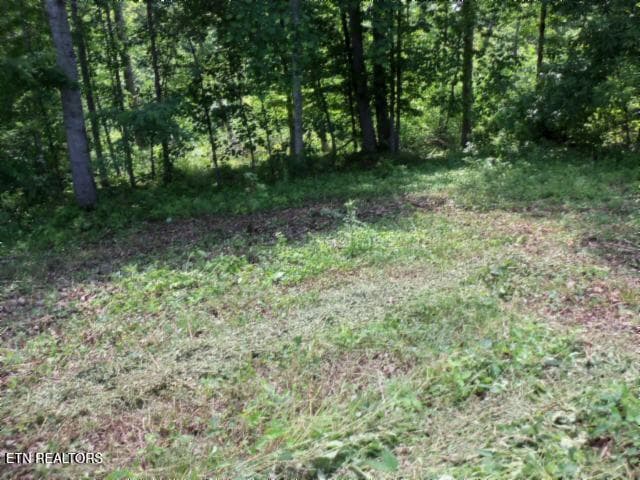 08 - 5.73ac Mate Allen Rd, Gainesboro, TN 38562, Gainesboro