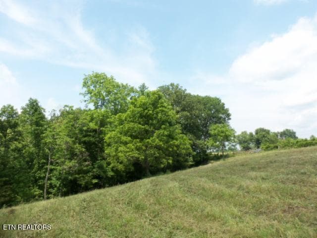 10 - 5.73ac Mate Allen Rd, Gainesboro, TN 38562, Gainesboro