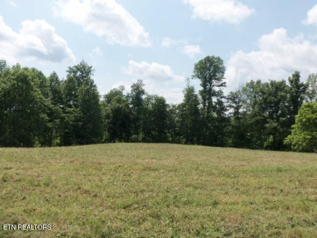 19 - 5.73ac Mate Allen Rd, Gainesboro, TN 38562, Gainesboro