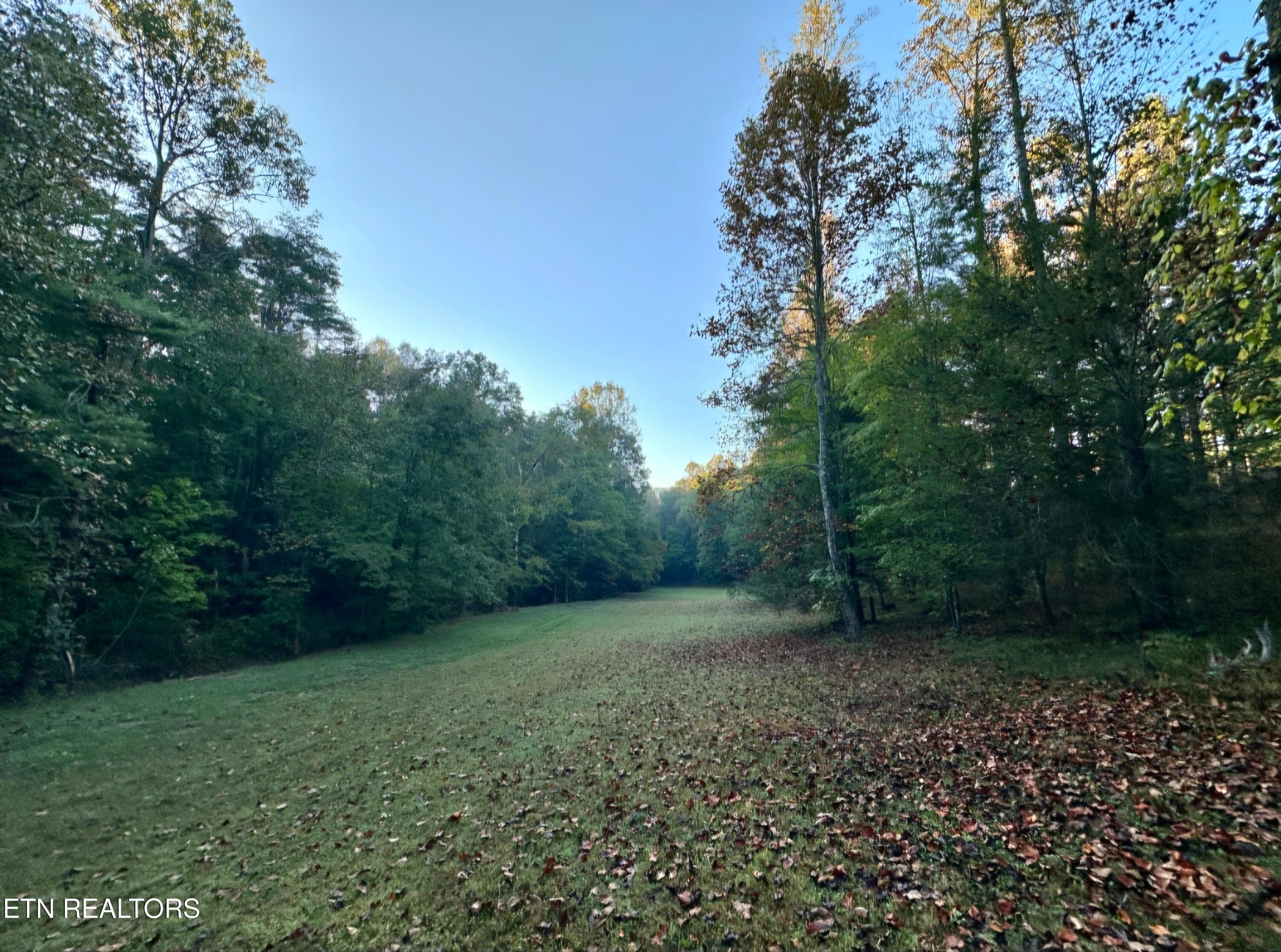 1000050445 - 770 Old Furnace Rd, Tellico Plains, TN 37385, Tellico Plains