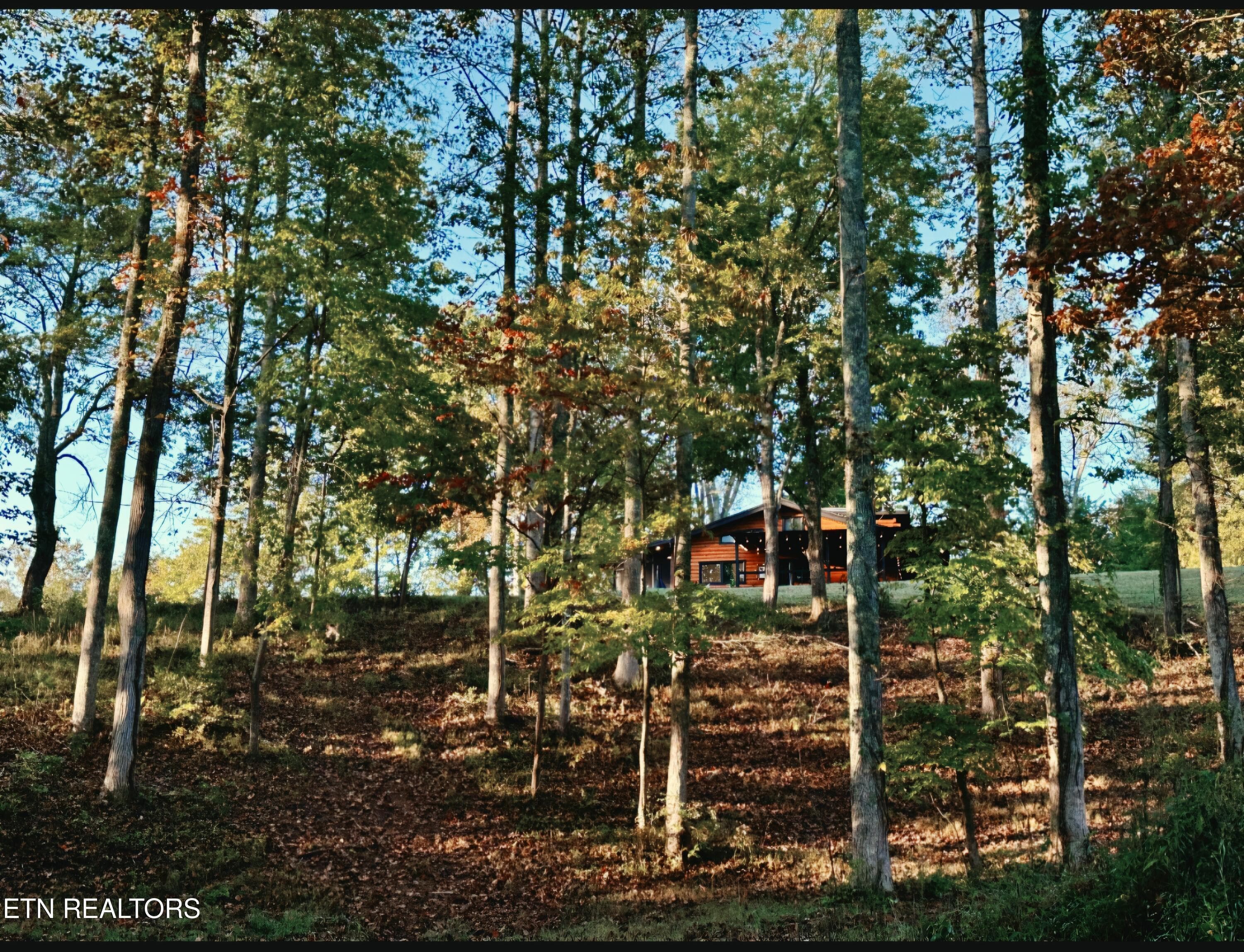 1000050447 - 770 Old Furnace Rd, Tellico Plains, TN 37385, Tellico Plains