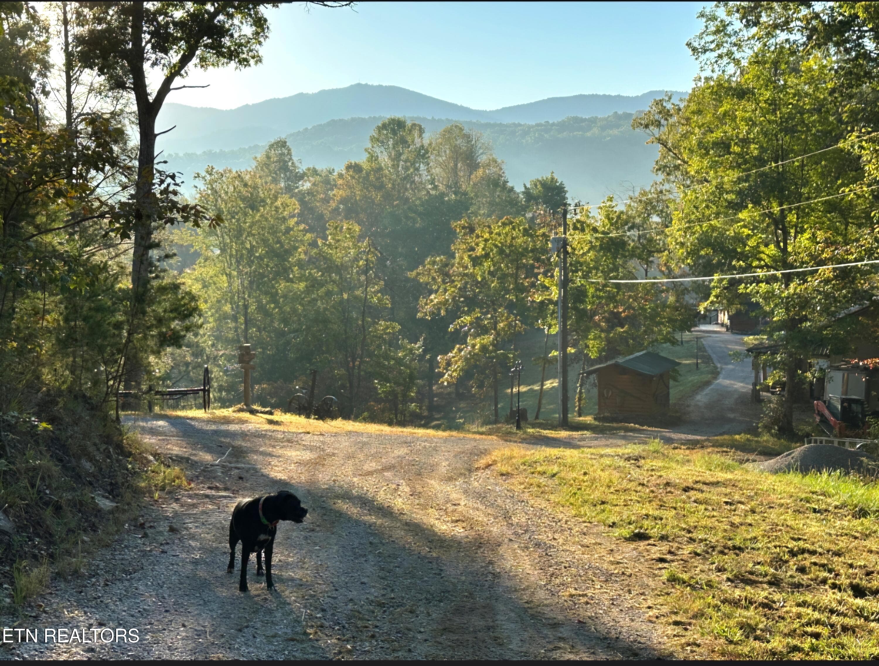 1000050453 - 770 Old Furnace Rd, Tellico Plains, TN 37385, Tellico Plains