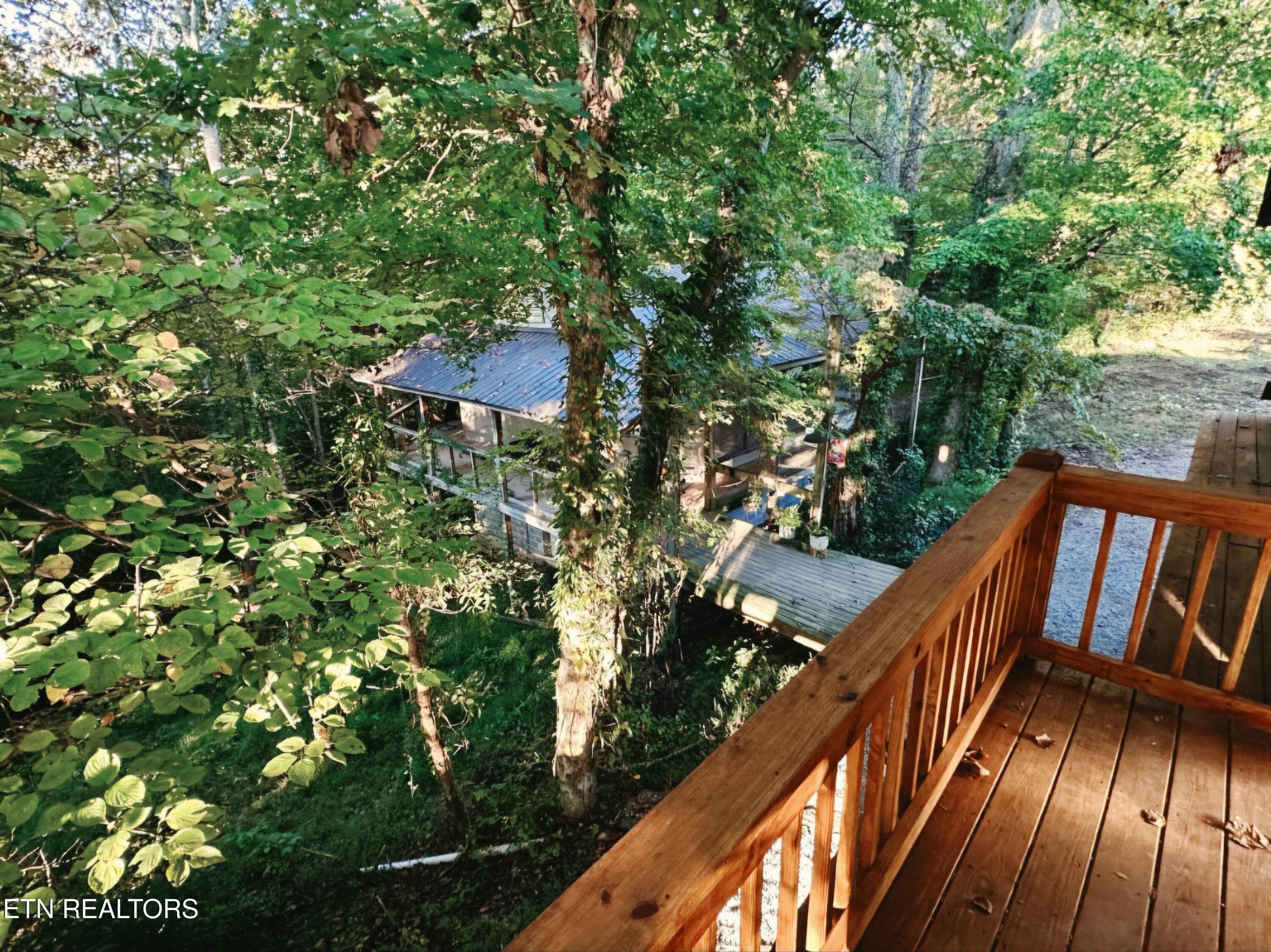 1000050481 - 770 Old Furnace Rd, Tellico Plains, TN 37385, Tellico Plains