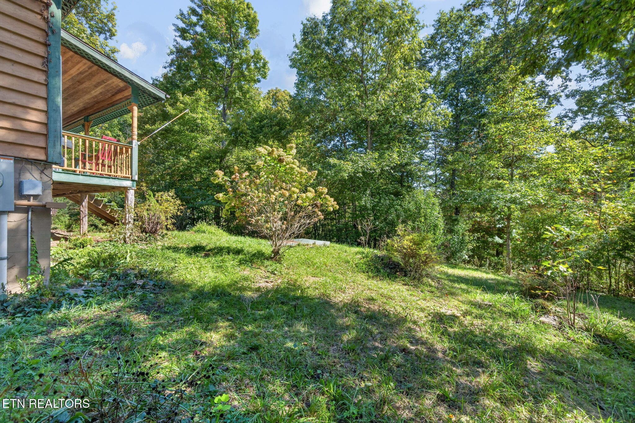 Back property - 240 Memory Lane, Monterey, TN 38574