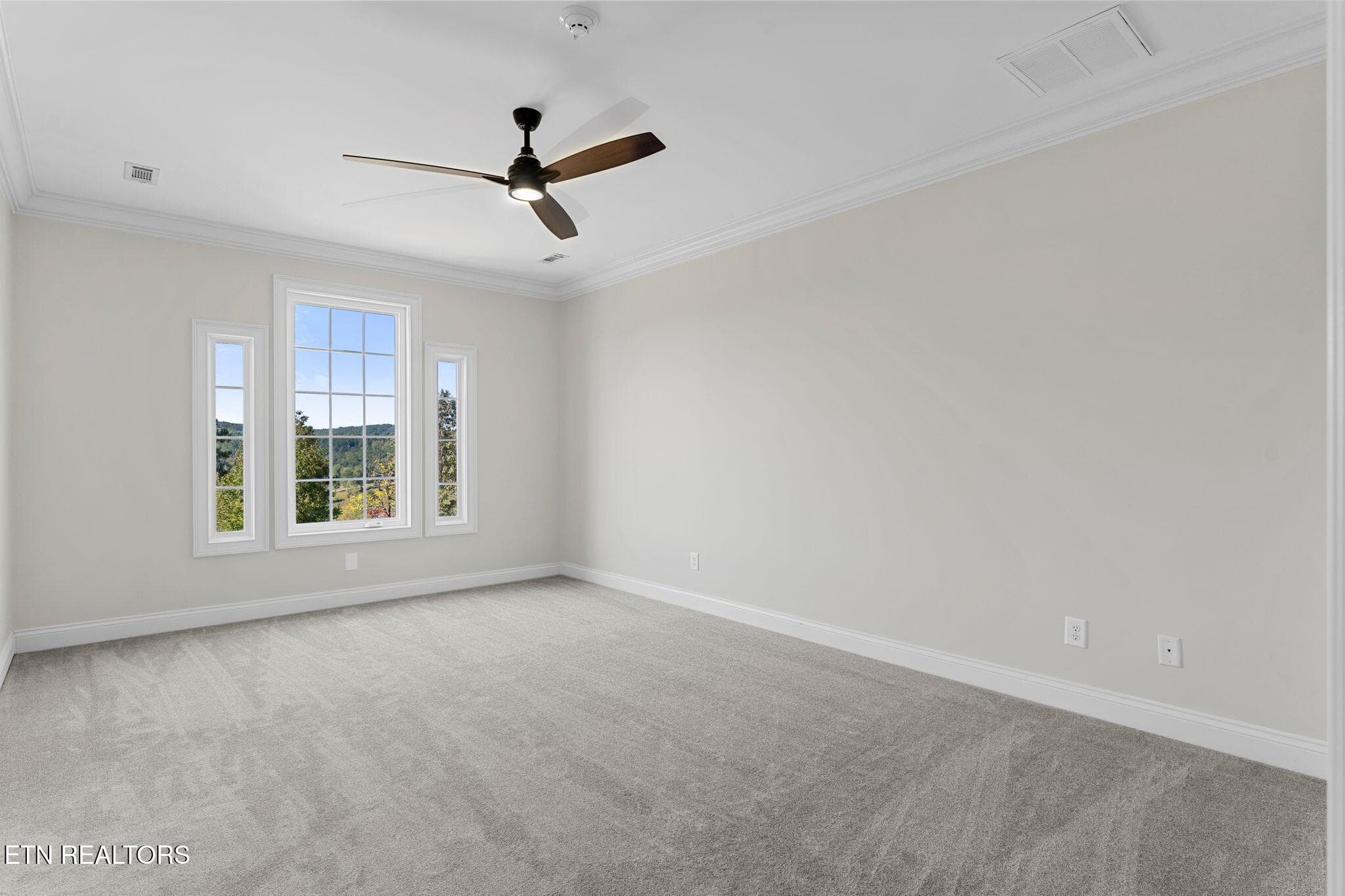 41-web-or-mls-910 Eagle Nest Dr-41 - 910 Eagle Nest Drive, Loudon, TN 37774