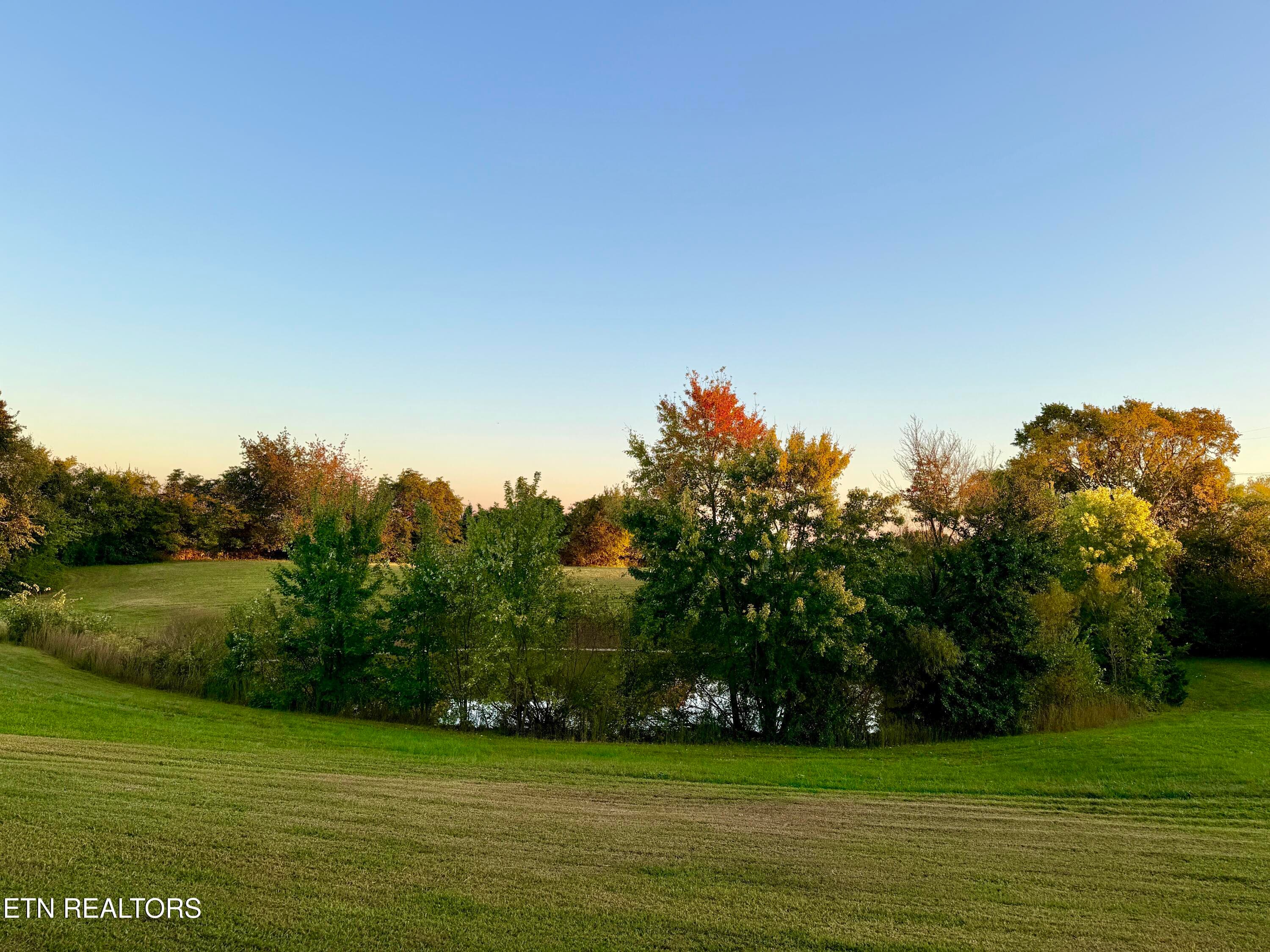 Copeland18 - 916 W Copeland Drive, Powell, TN 37849