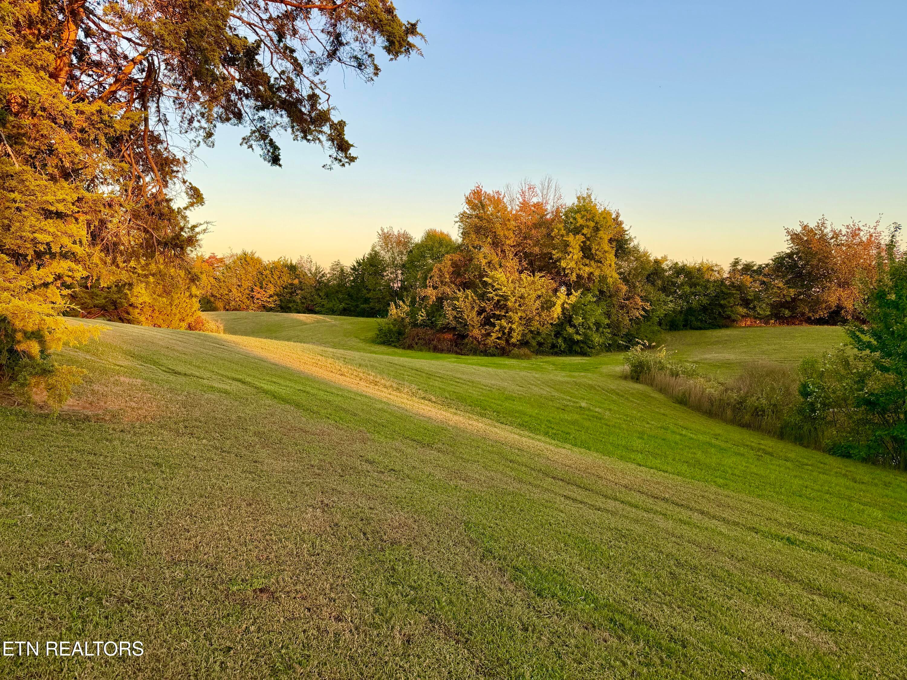 Copeland19 - 916 W Copeland Drive, Powell, TN 37849