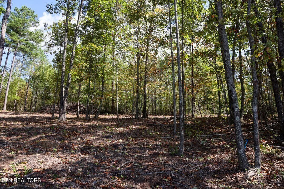 5) 61025-688cb953d9b57 - Countryside Court, Guild, TN 37340
