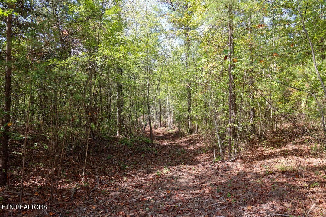 6) 61025-688cb98b401e4 - Countryside Court, Guild, TN 37340