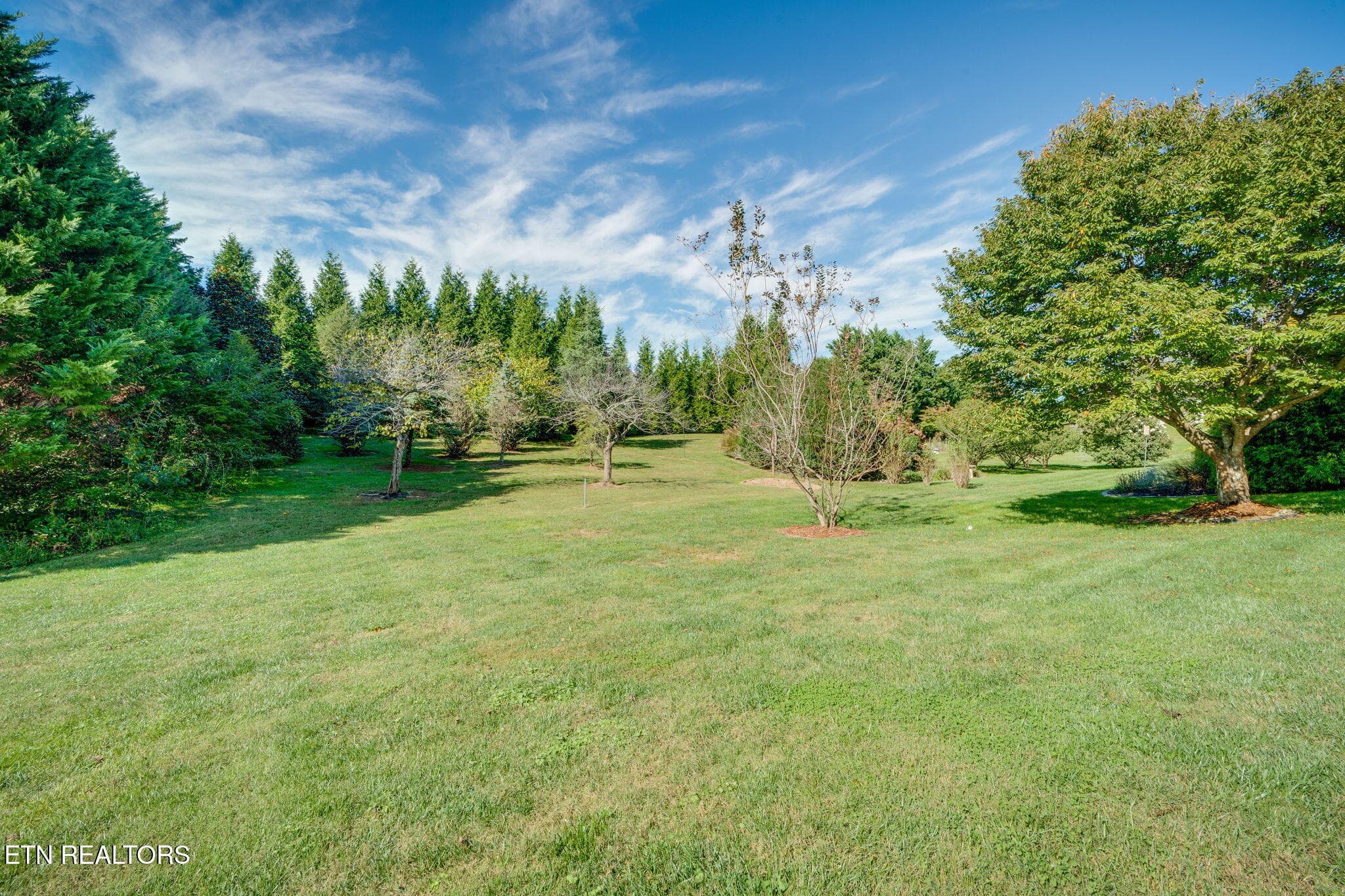043 - 325 Goldenrod Drive, Jonesborough, TN 37659