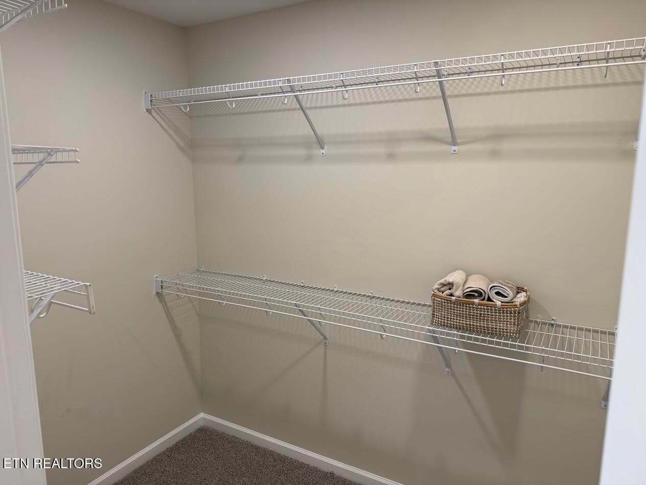 primary walk-in closet - 149 Park Ave, Madisonville, TN 37354, Madisonville