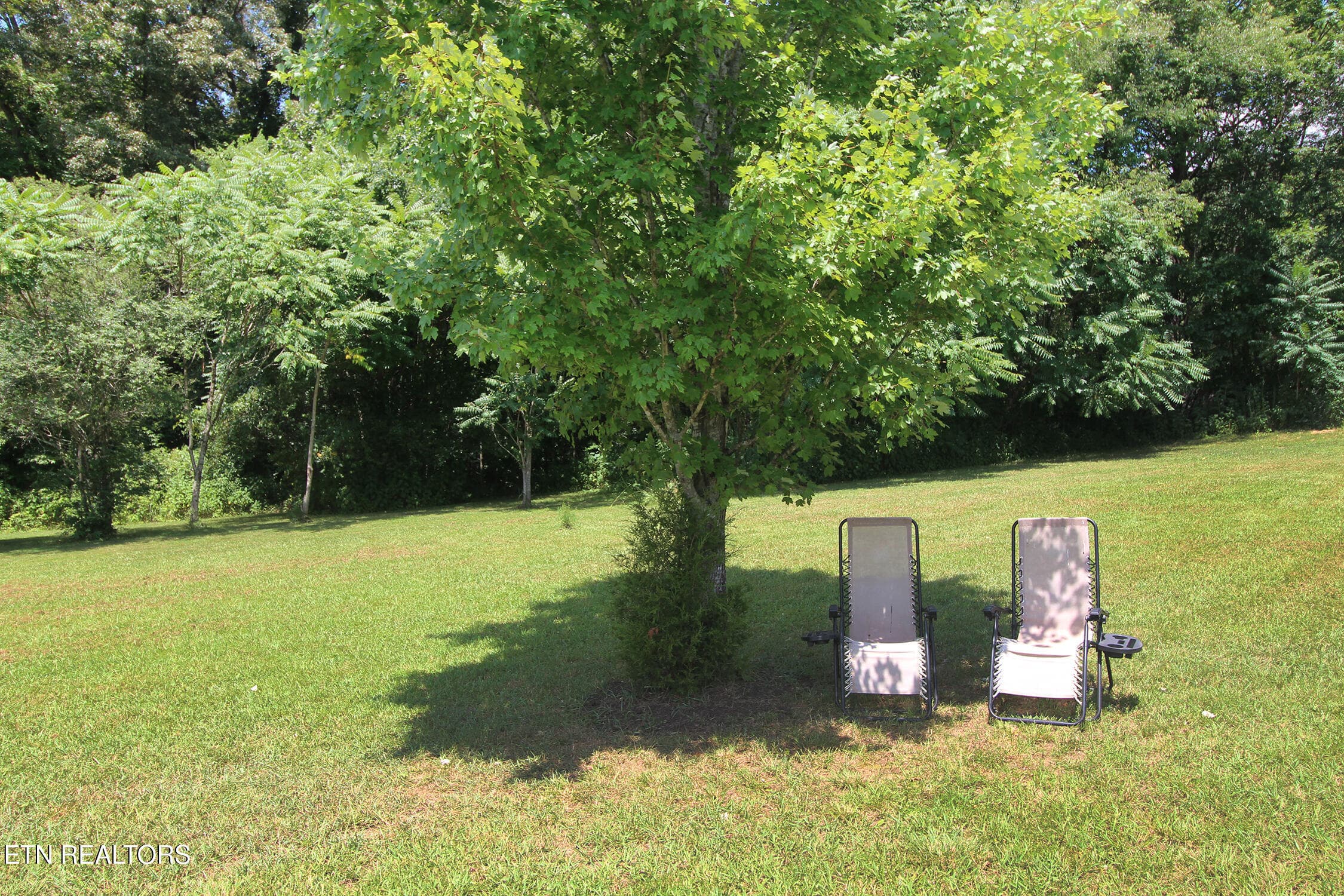 IMG_5889 - 9115 Buttermilk Rd, Lenoir City, TN 37771