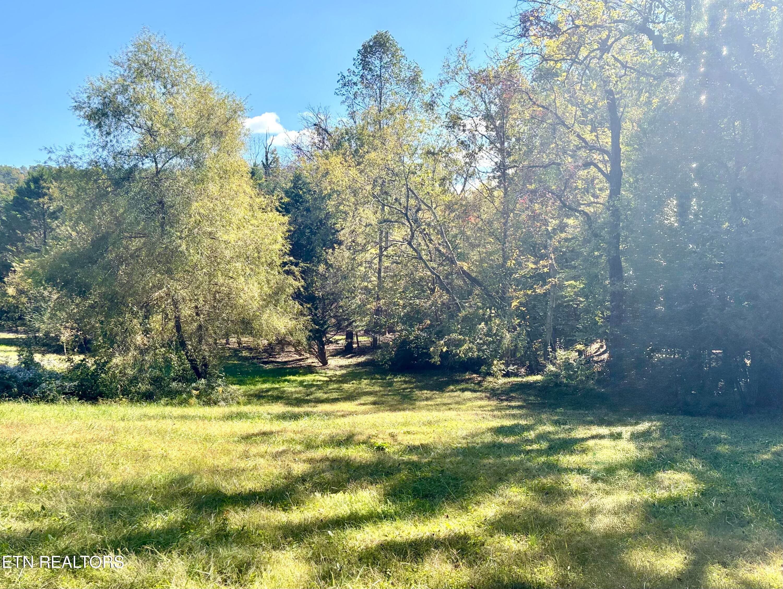IMG_2771 - 2944 Mcmahan Sawmill Rd, Sevierville, TN 37862