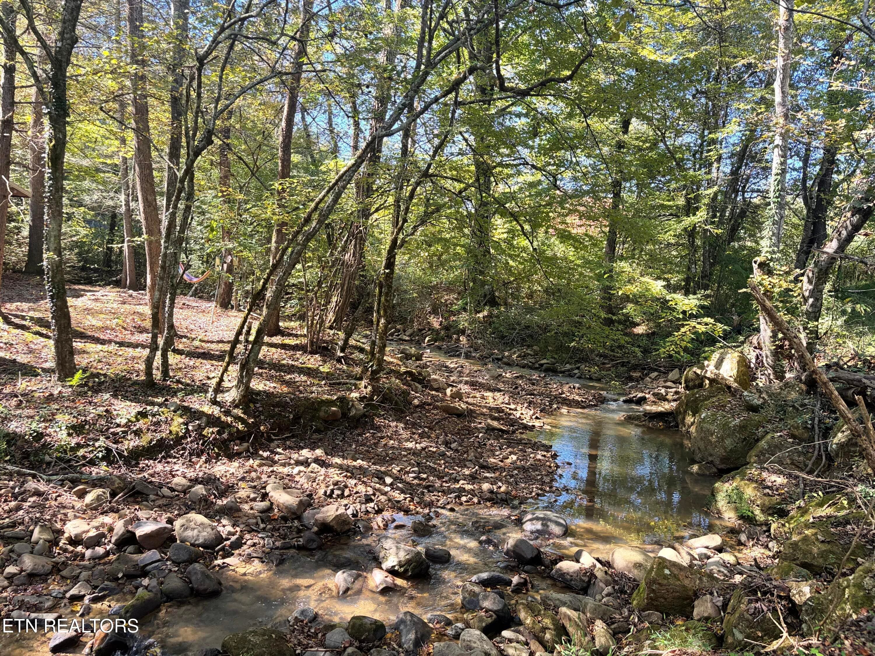IMG_2779 - 2944 Mcmahan Sawmill Rd, Sevierville, TN 37862