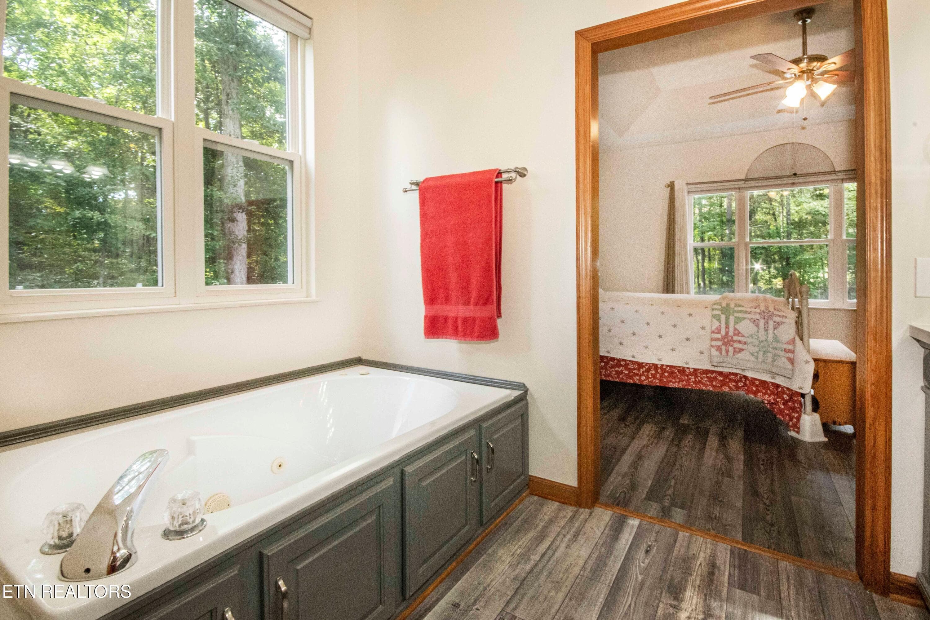 Master tub - 169 Oostanali Way, Loudon, TN 37774