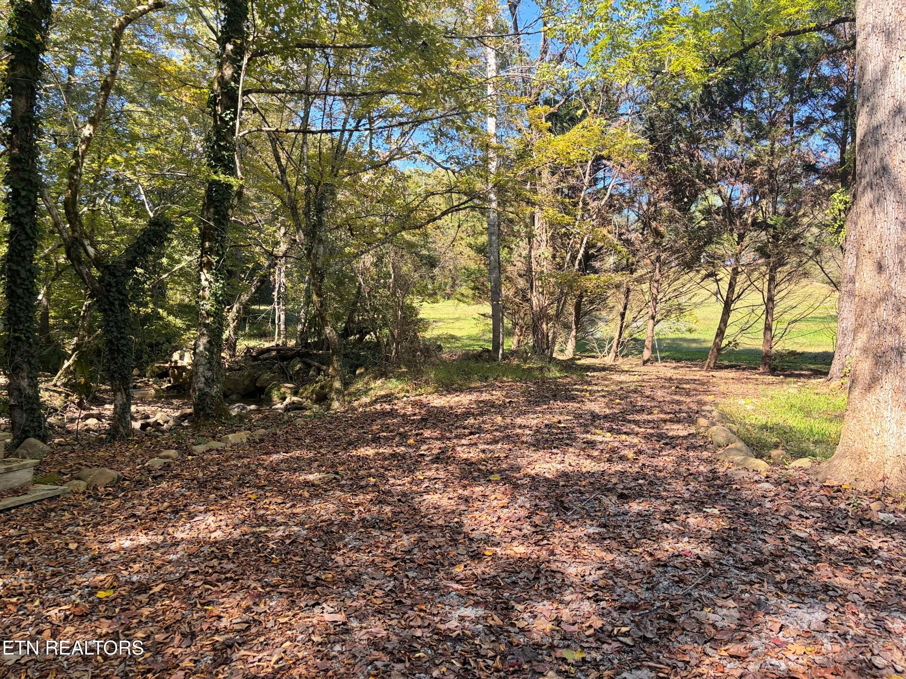 IMG_2785 - 2944 Mcmahan Sawmill Rd, Sevierville, TN 37862