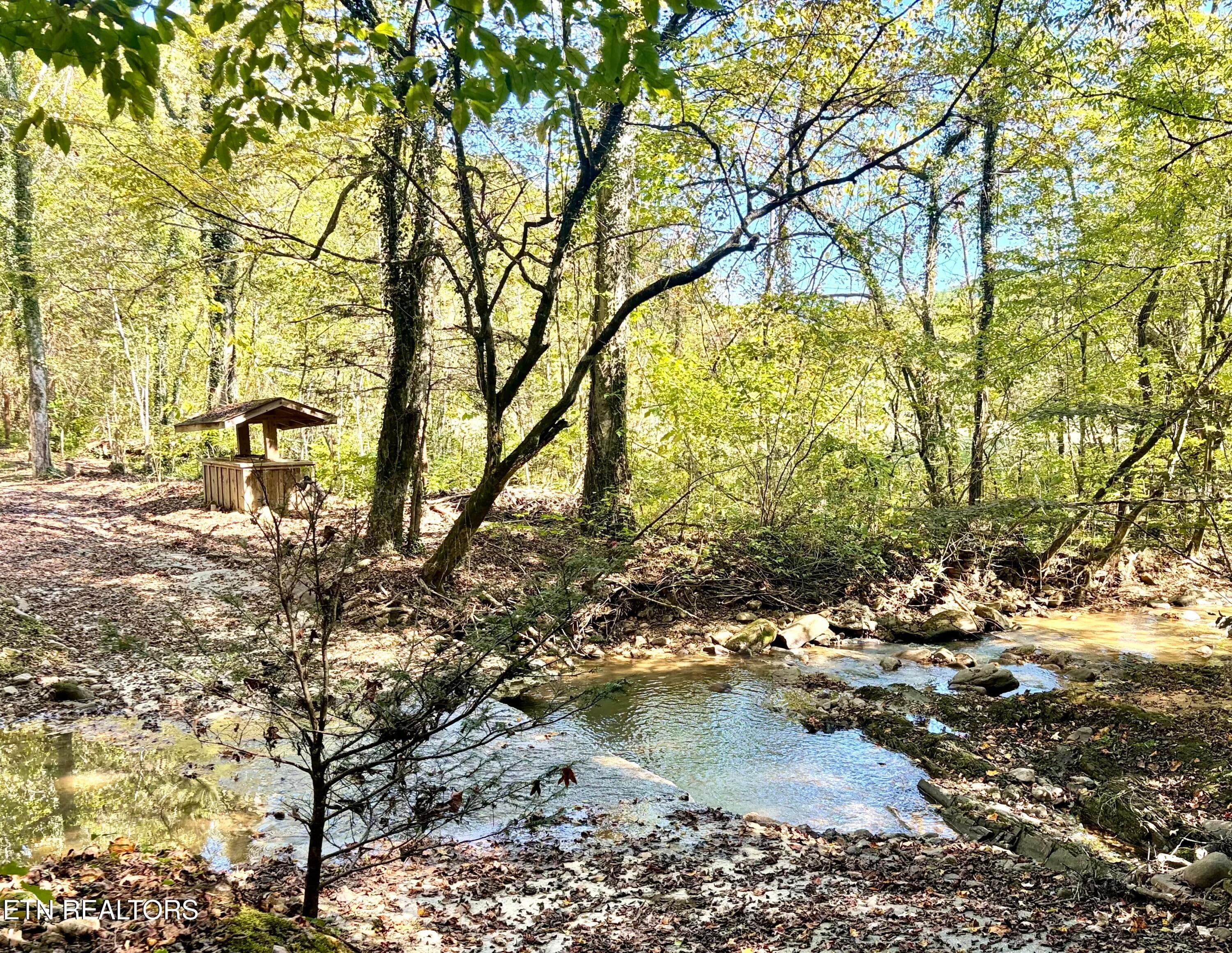 IMG_2792 - 2944 Mcmahan Sawmill Rd, Sevierville, TN 37862