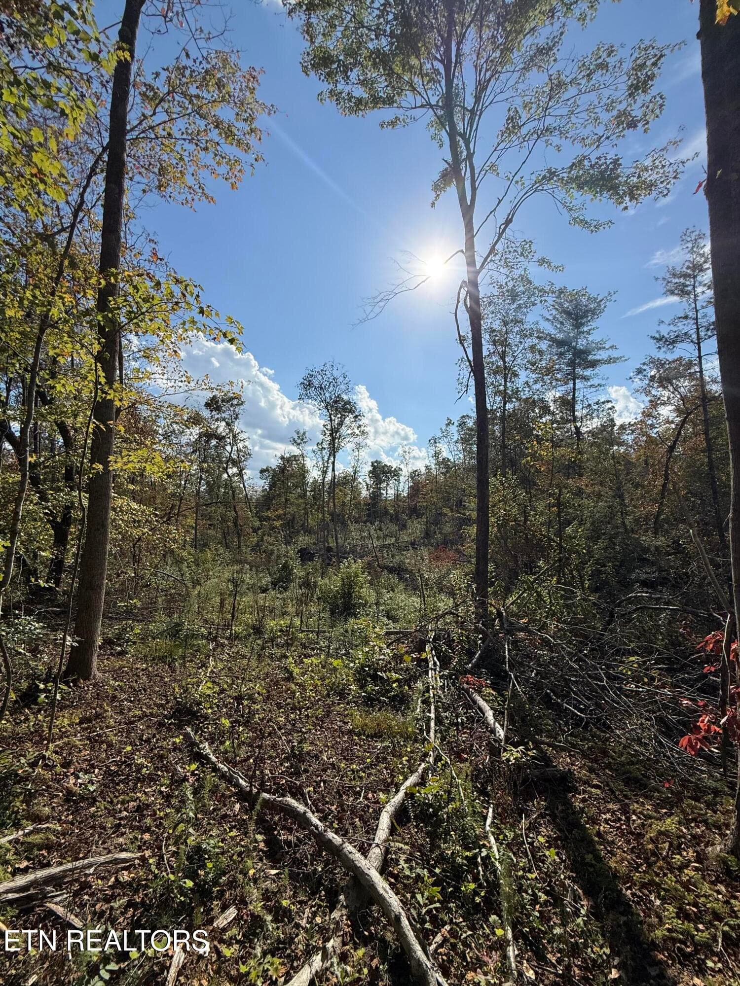 IMG_2003 - 26.97 Acre Mt Helen Rd, Allardt, TN 38504