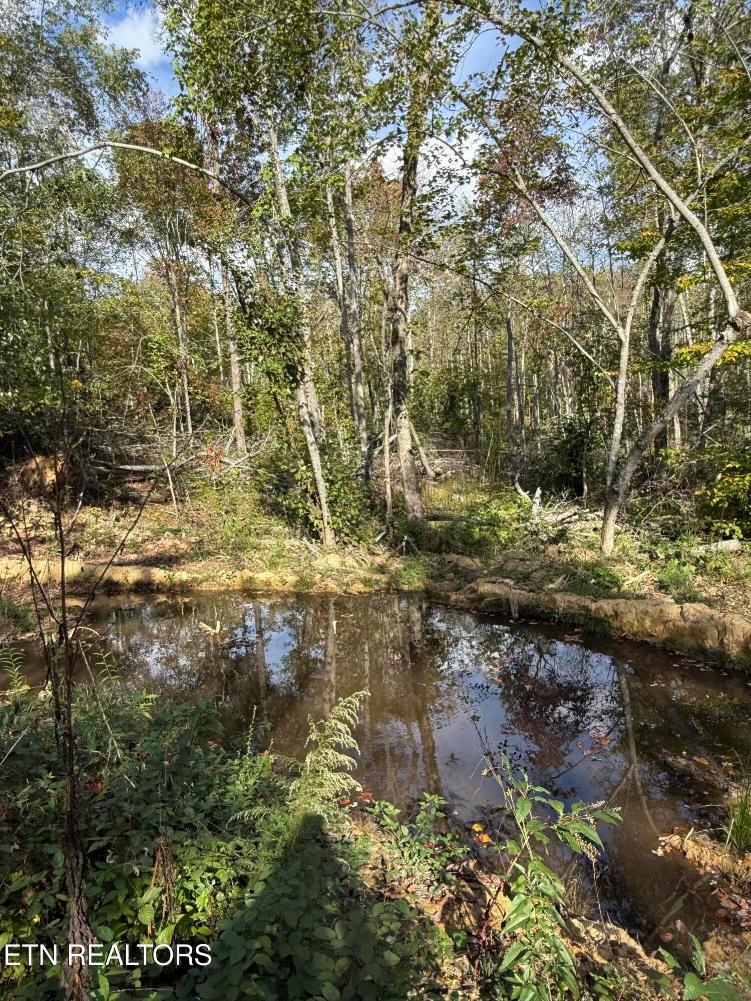 IMG_2004 - 26.97 Acre Mt Helen Rd, Allardt, TN 38504