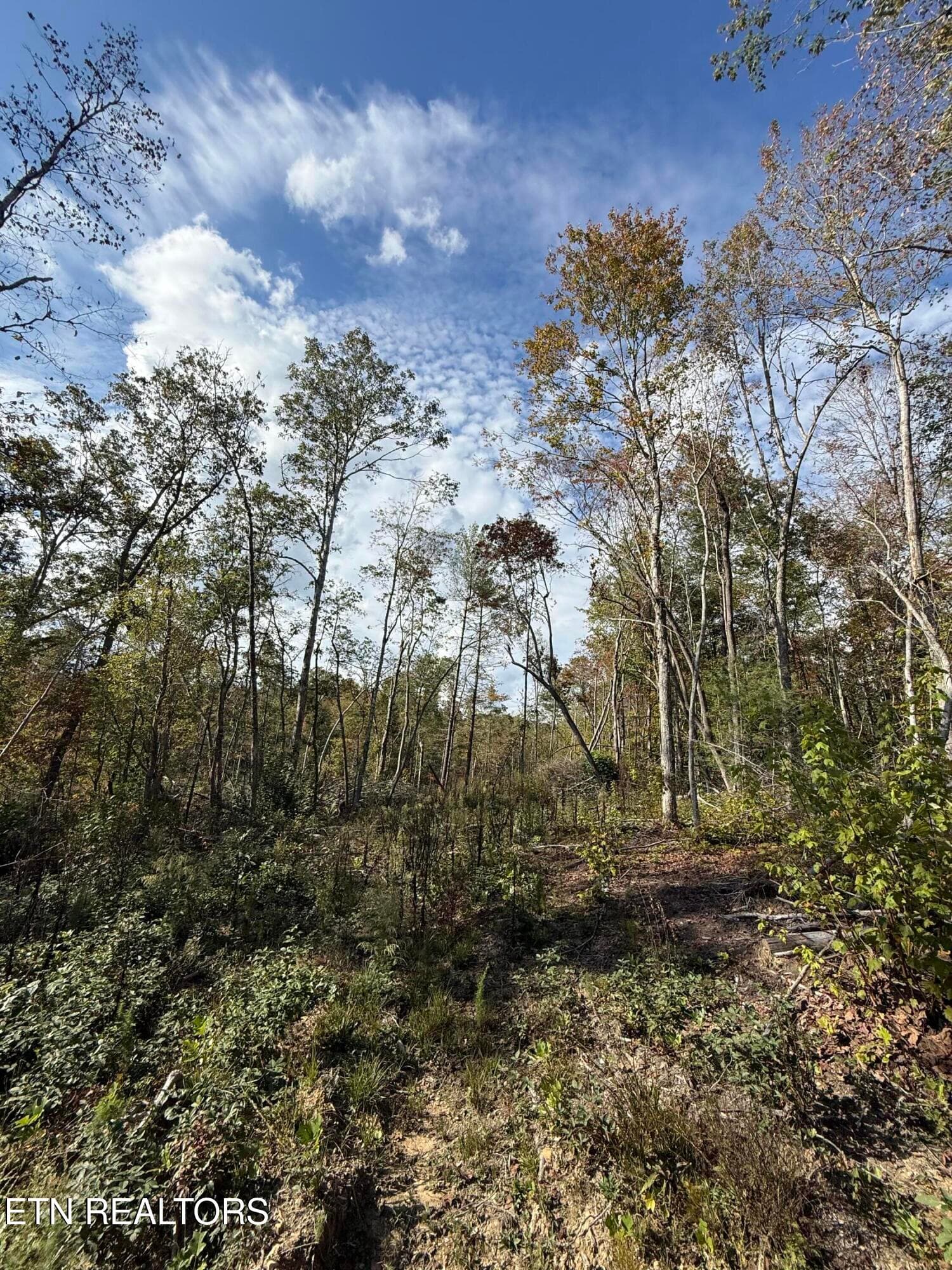 IMG_2002 - 26.97 Acre Mt Helen Rd, Allardt, TN 38504