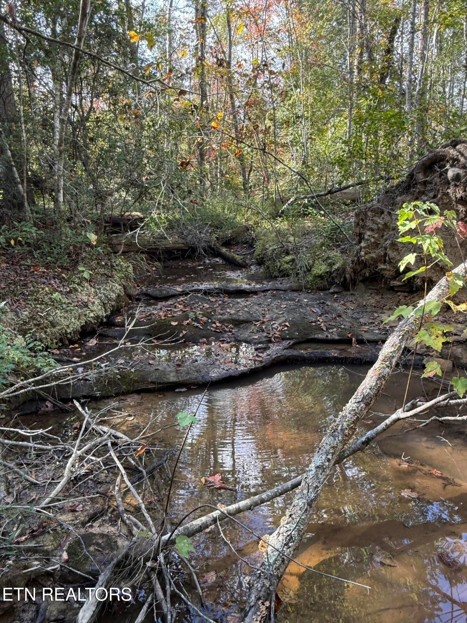 IMG_2001 - 26.97 Acre Mt Helen Rd, Allardt, TN 38504