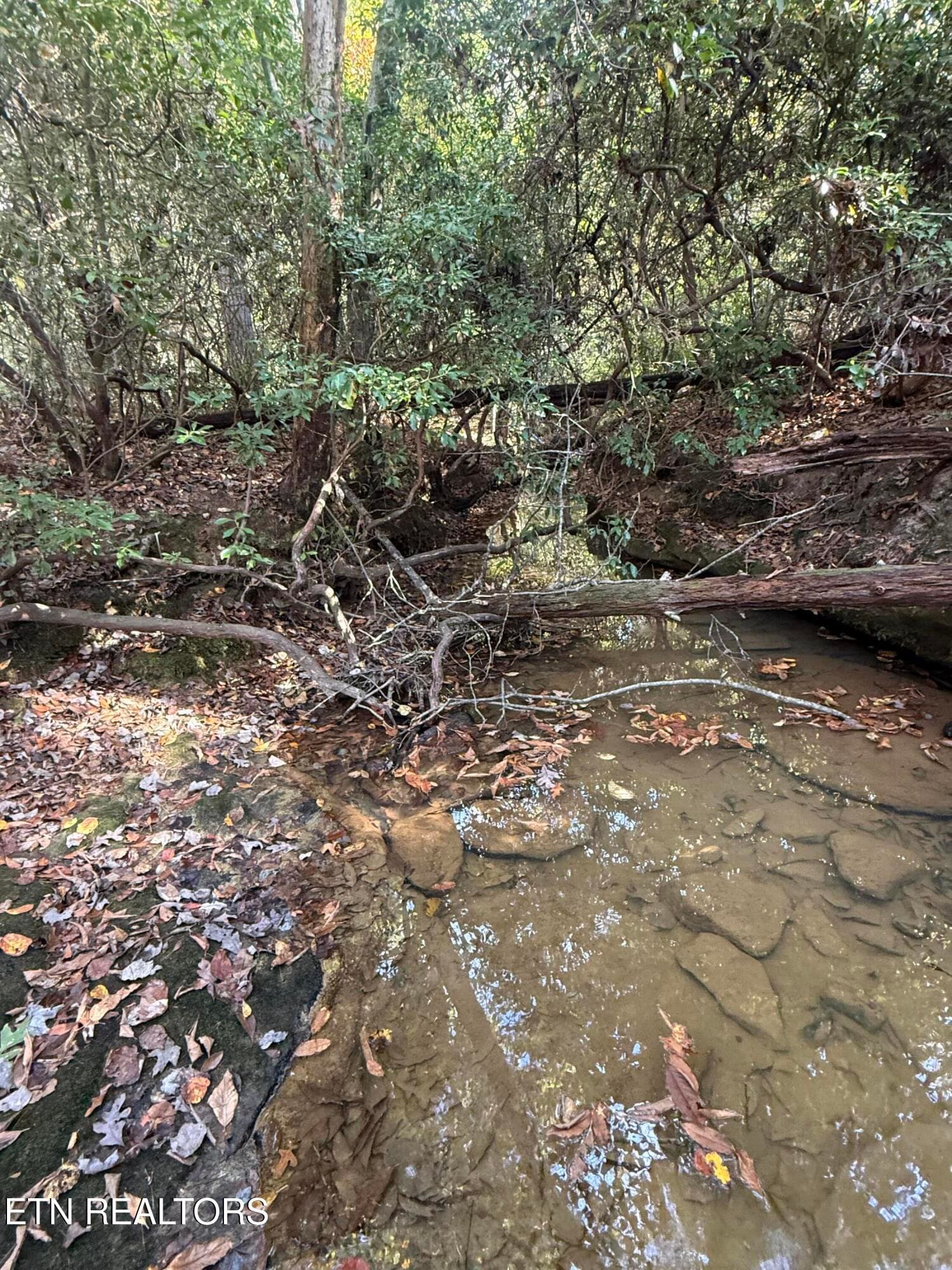 IMG_1999 - 26.97 Acre Mt Helen Rd, Allardt, TN 38504