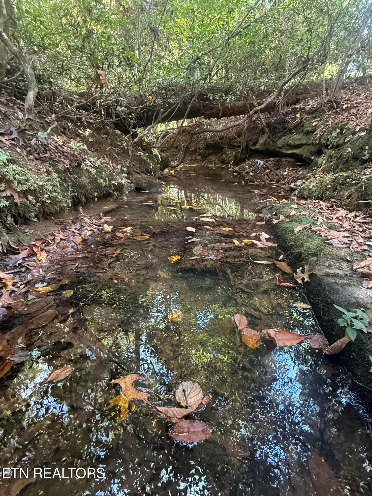 IMG_1997 - 26.97 Acre Mt Helen Rd, Allardt, TN 38504