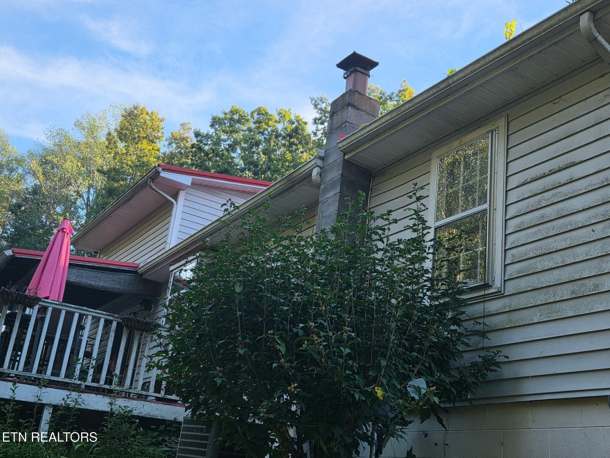 IMG_9104 - 6584 Fisherman Drive, Talbott, TN 37877