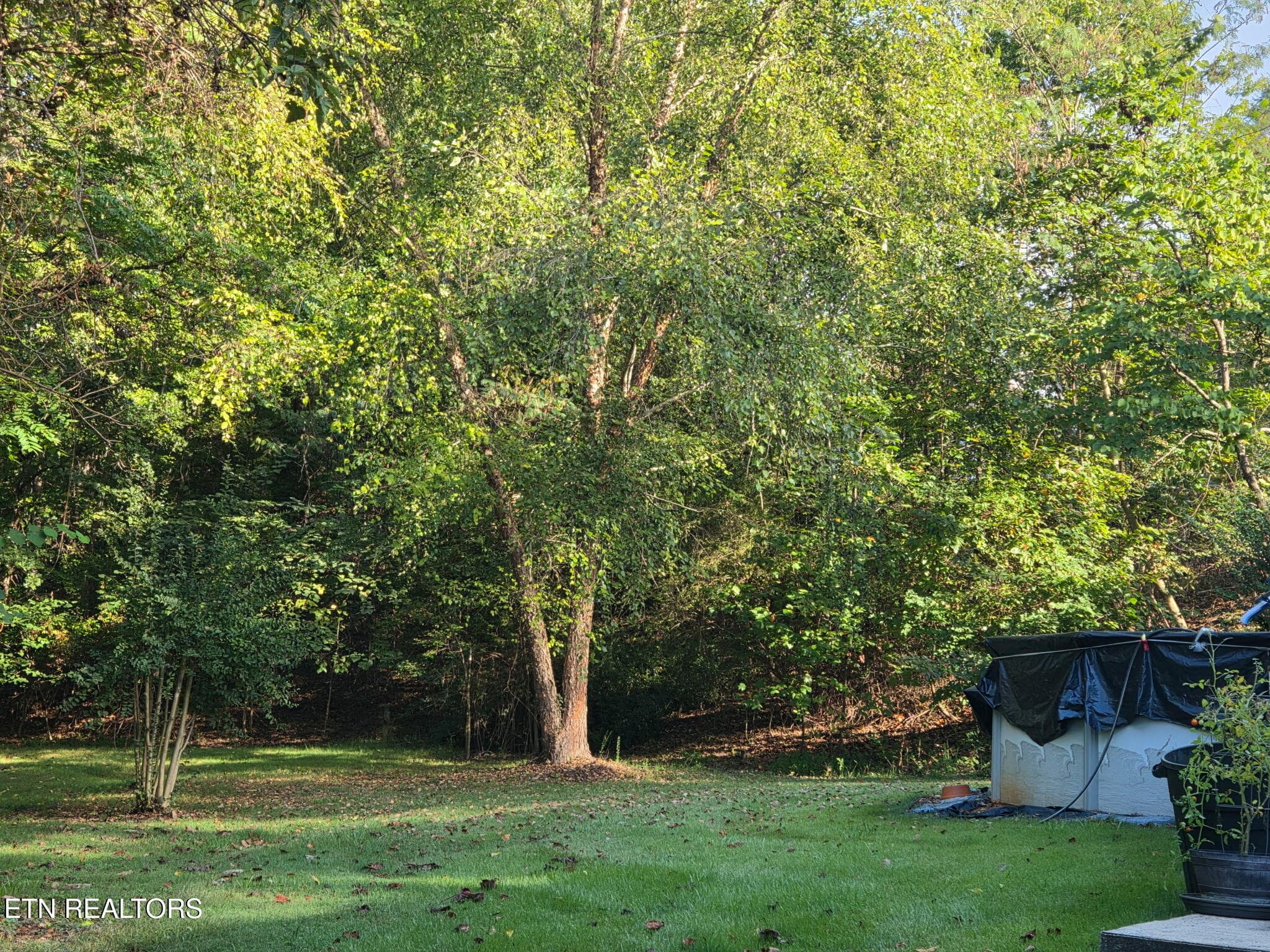 IMG_9107 - 6584 Fisherman Drive, Talbott, TN 37877