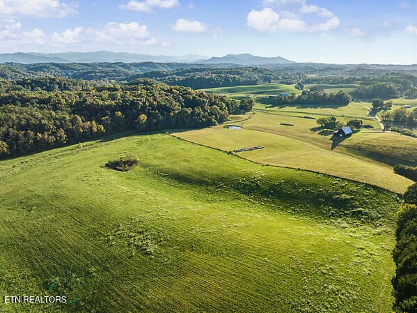 38 MOUNTAIN VIEW - 875 Palmer Hollow Rd, Bybee, TN 37713